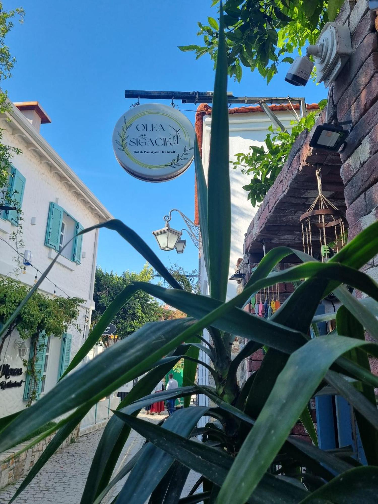 Olea Sigacik Pansiyon & Bistro سفيريهيسار المظهر الخارجي الصورة