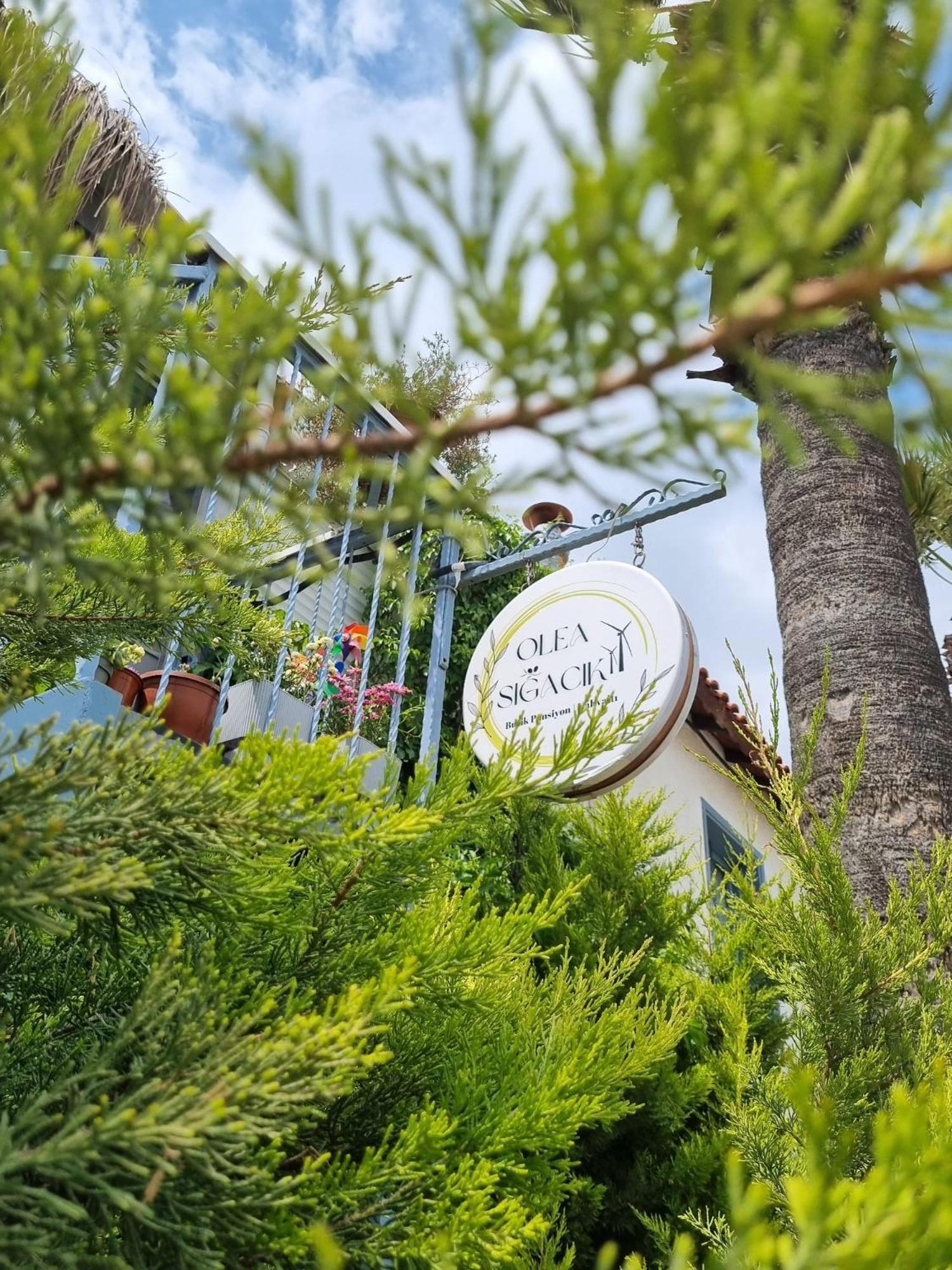 Olea Sigacik Pansiyon & Bistro سفيريهيسار المظهر الخارجي الصورة